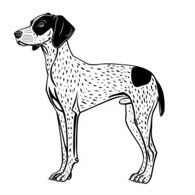 GSP&#39;s - Black &amp; White 25
