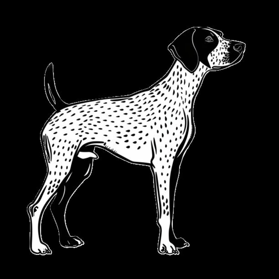 GSP&#39;s - Black &amp; White 27