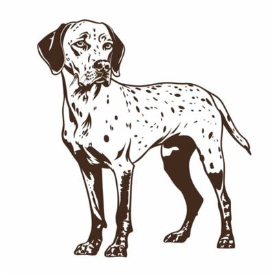 GSP's - Black &amp; White 38