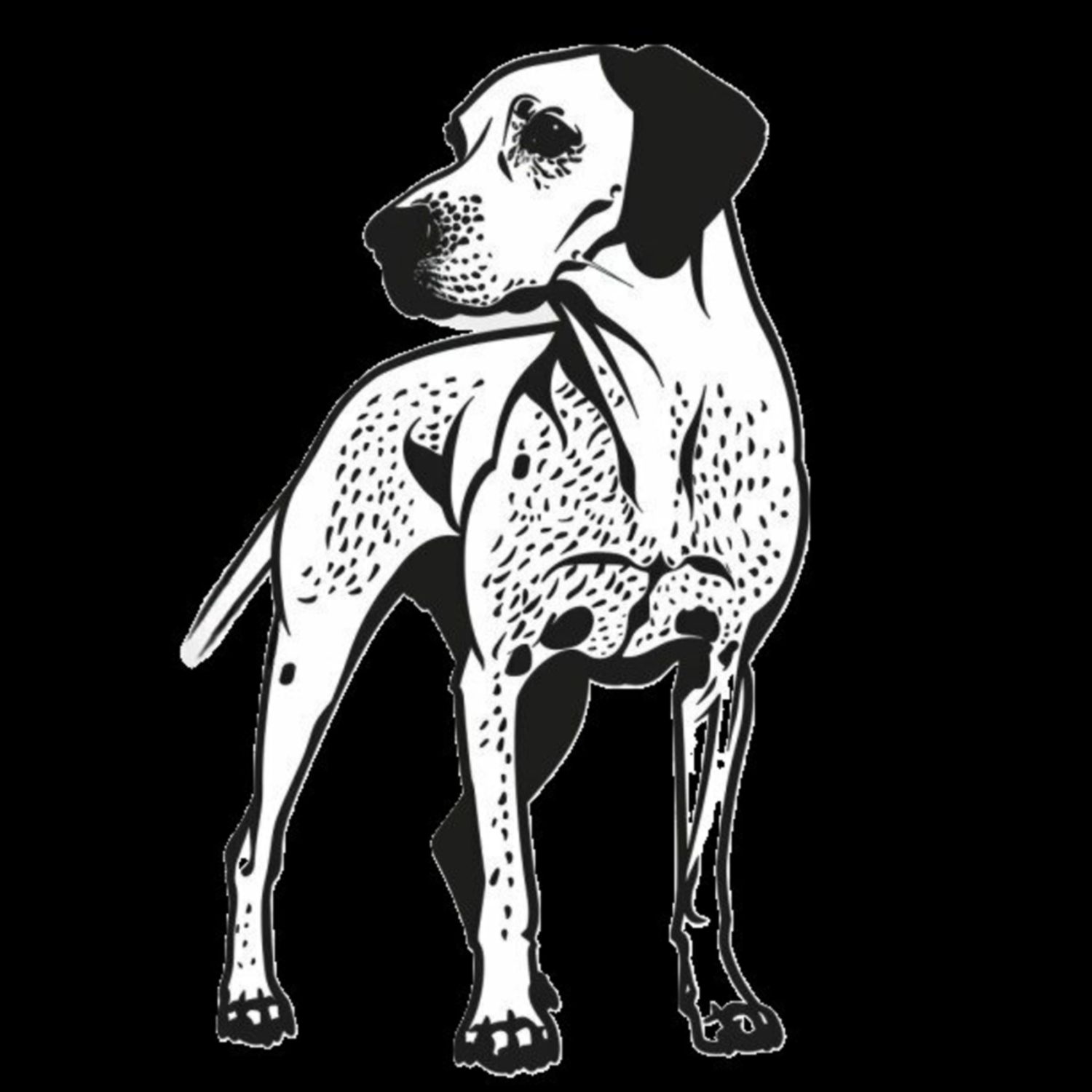 GSP&#39;s - Black &amp; White 34
