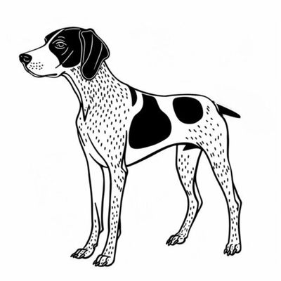 GSP&#39;s - Black &amp; White 36