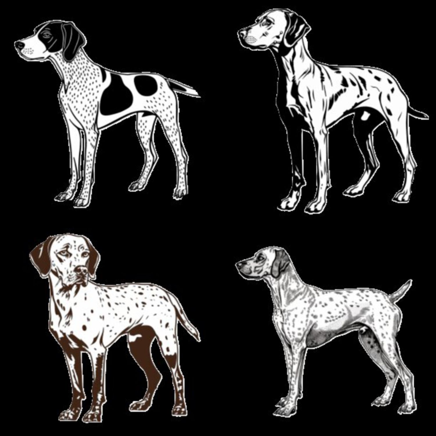 GSP&#39;s - Black &amp; White Selection 8 7-4-24