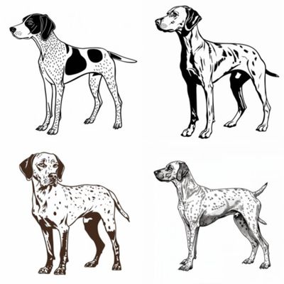 GSP's - Black &amp; White Selection 8 7-4-24