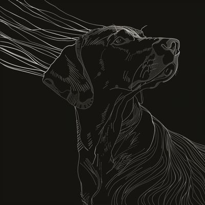 GSPs BLACK &amp; (10)