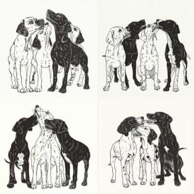GSPs BLACK &amp; SELECTION (2)