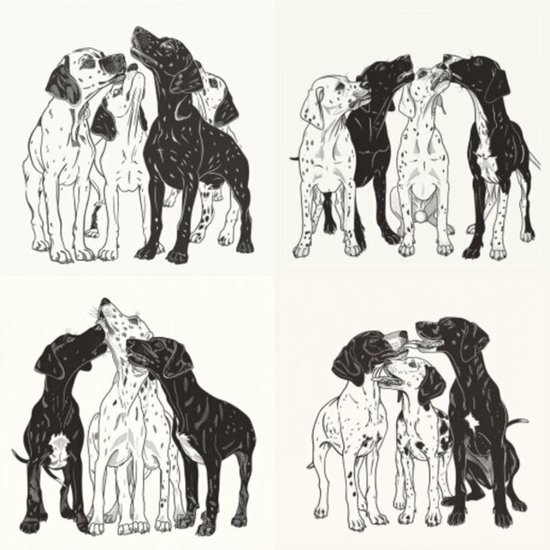 GSPs BLACK &amp; SELECTION (2)