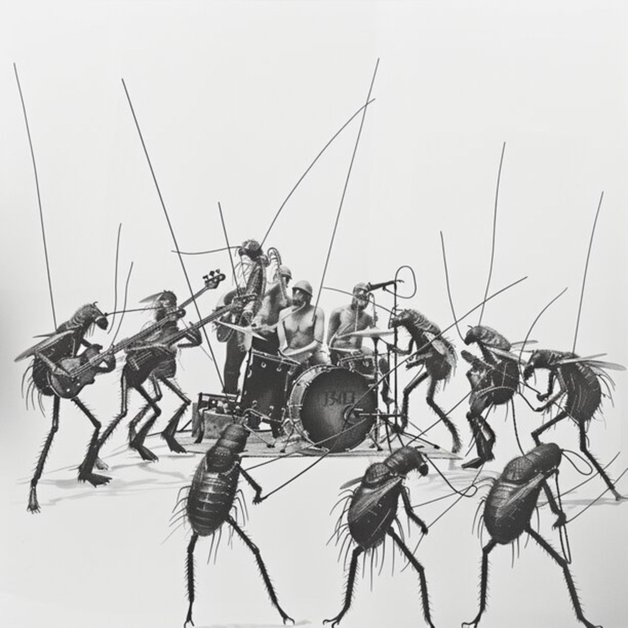 Flea Rockers (42)