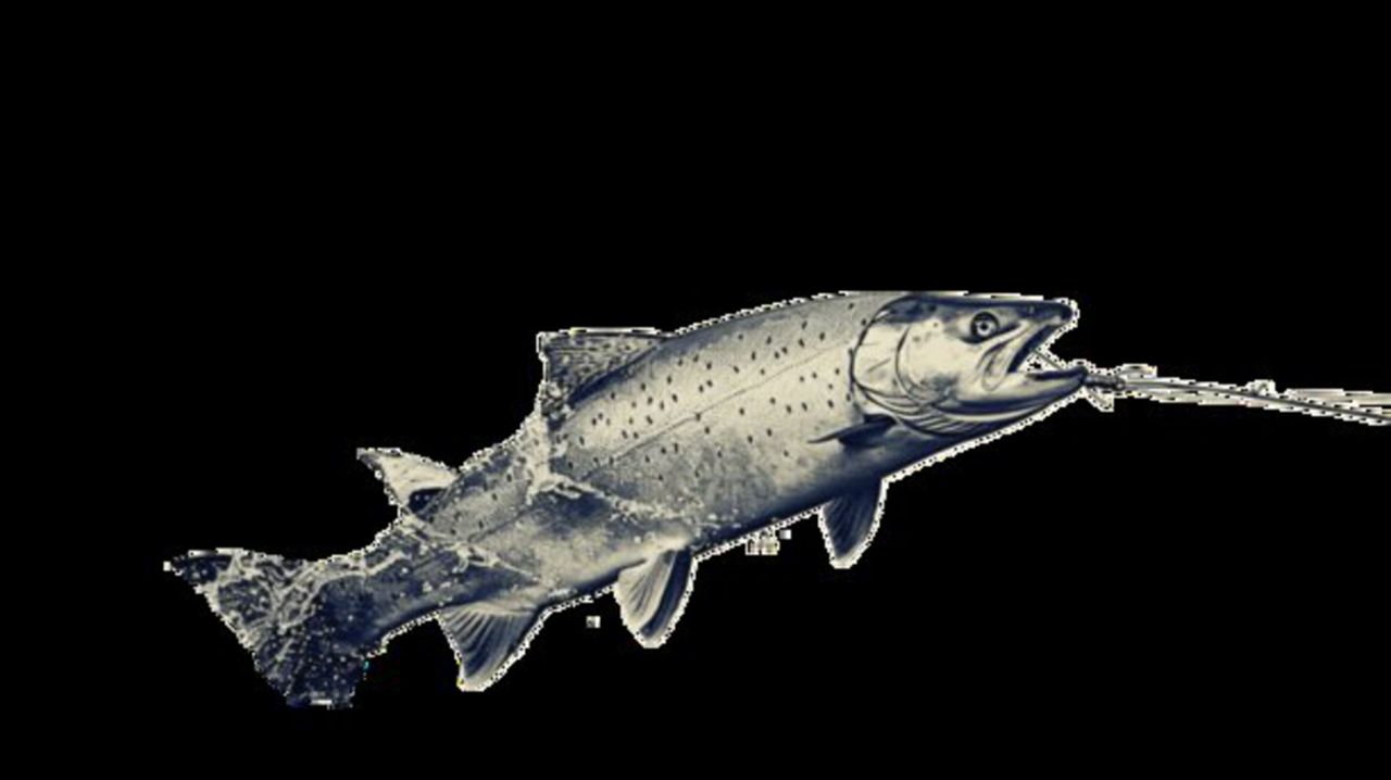Big Fish (10)