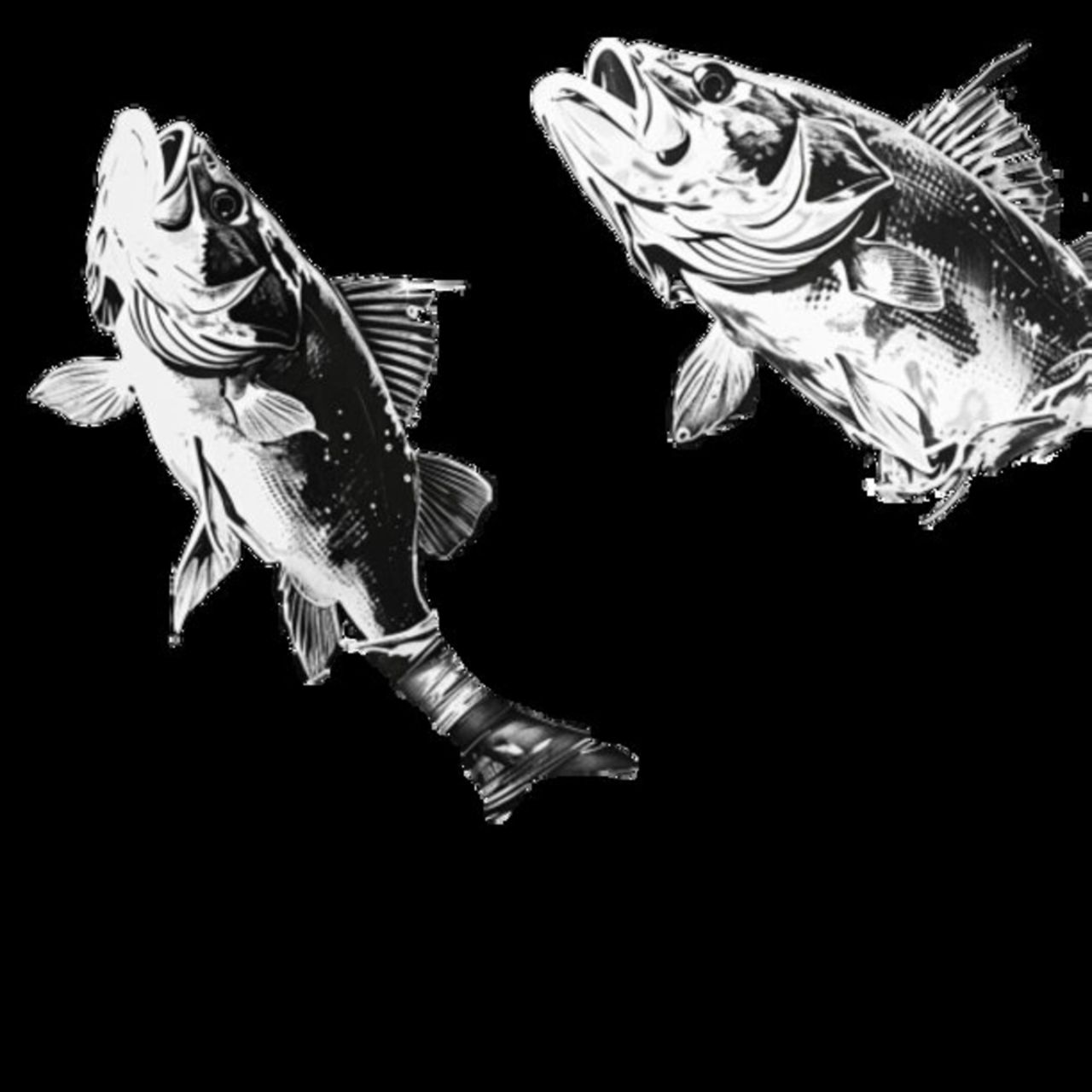 Bass Fish 9