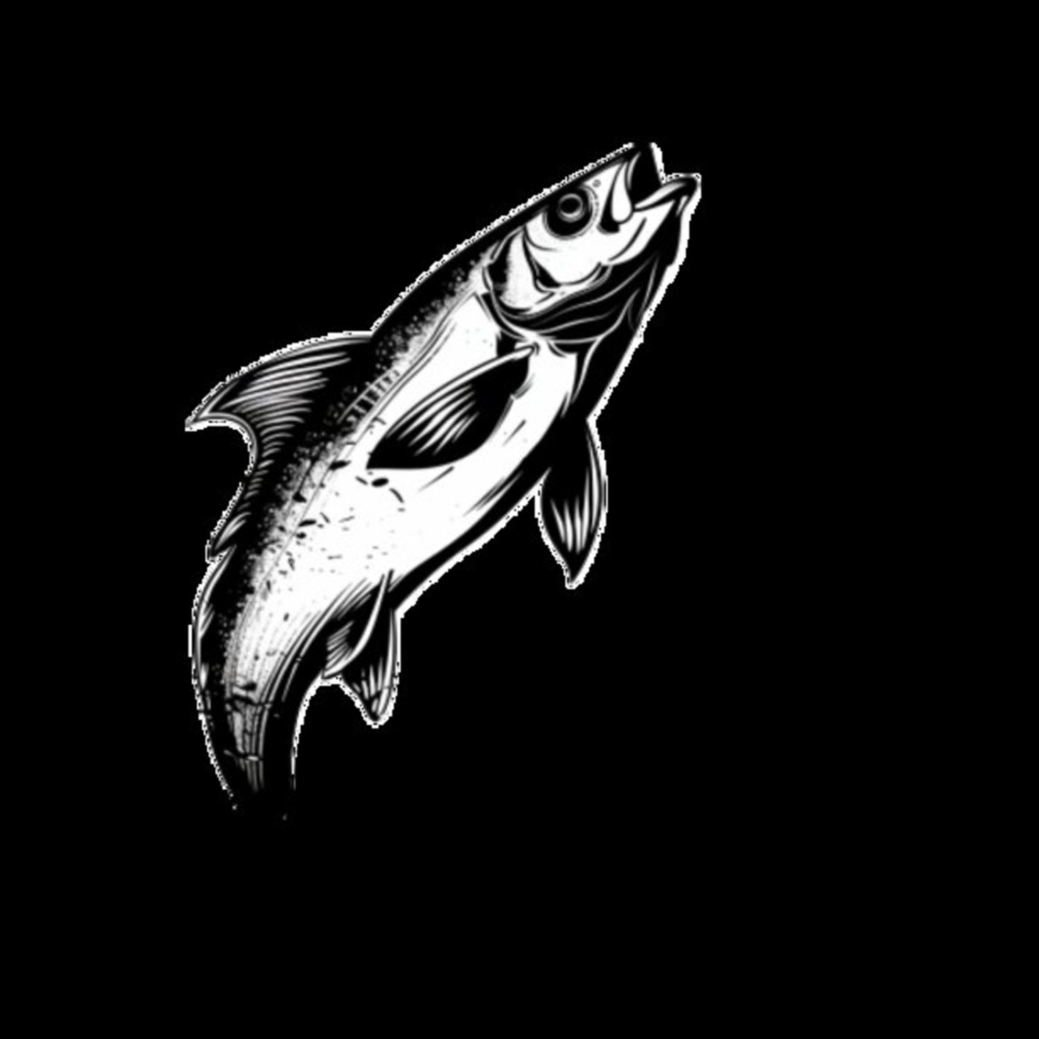 Mullet Fish 34