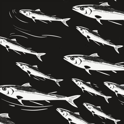 Mullet Fish 42