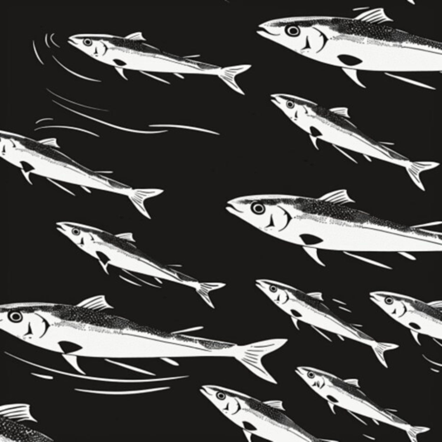 Mullet Fish 42