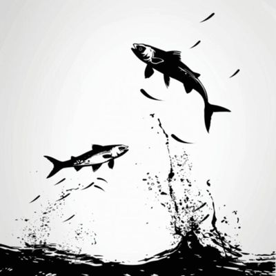 Mullet Fish 43
