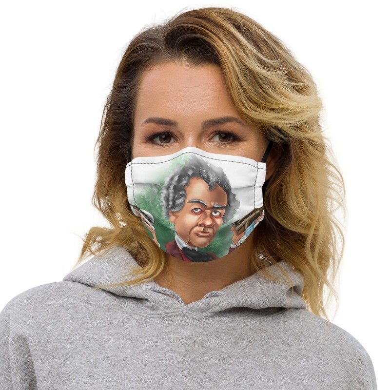 Frank Lloyd Wright Premium face mask