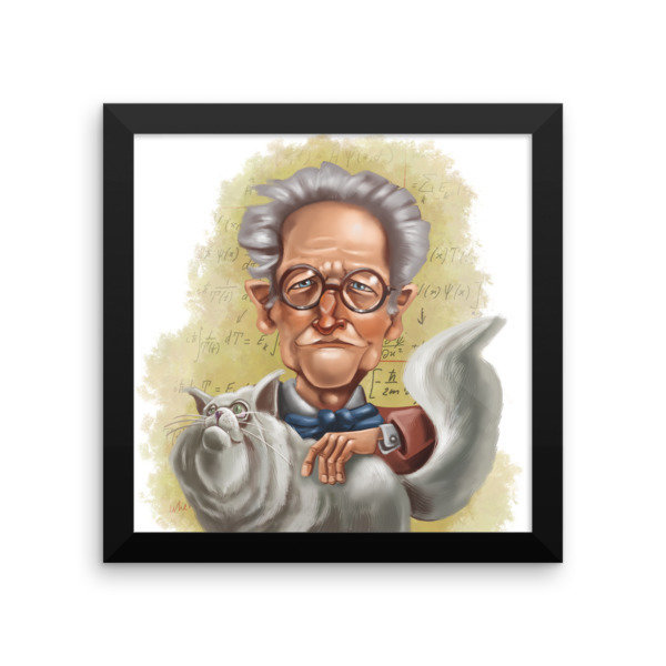 Erwin Schrödinger Framed poster