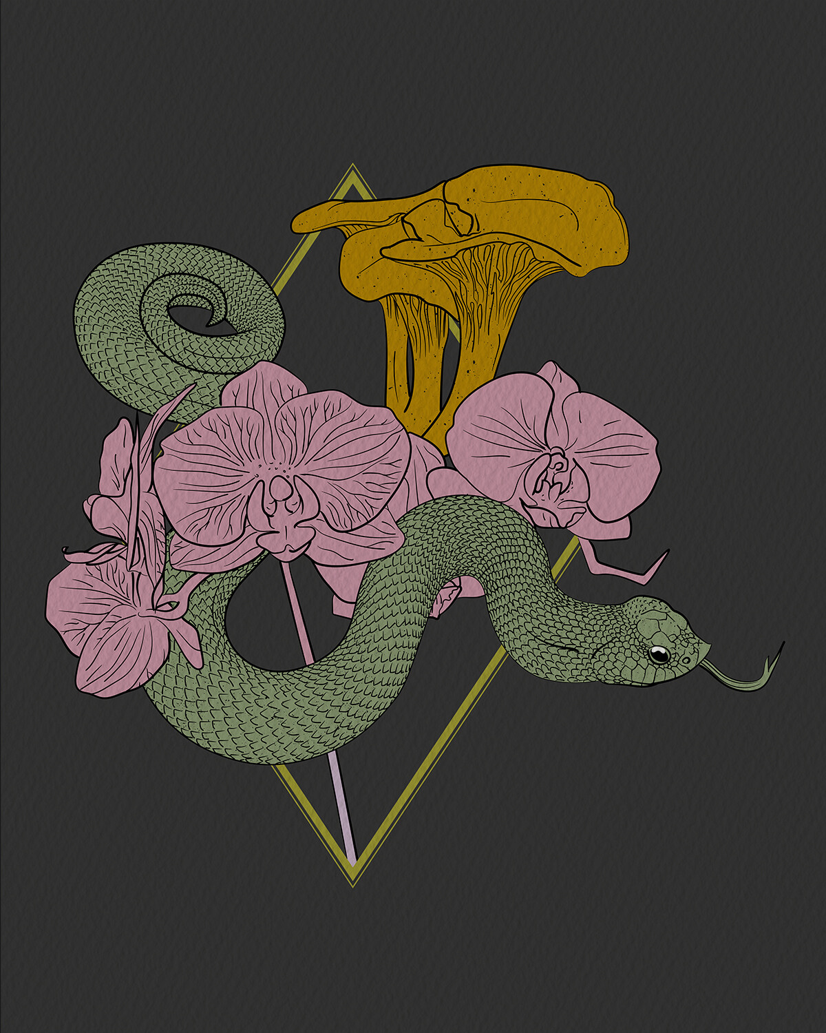 Hognose | Chanterelles | Orchids