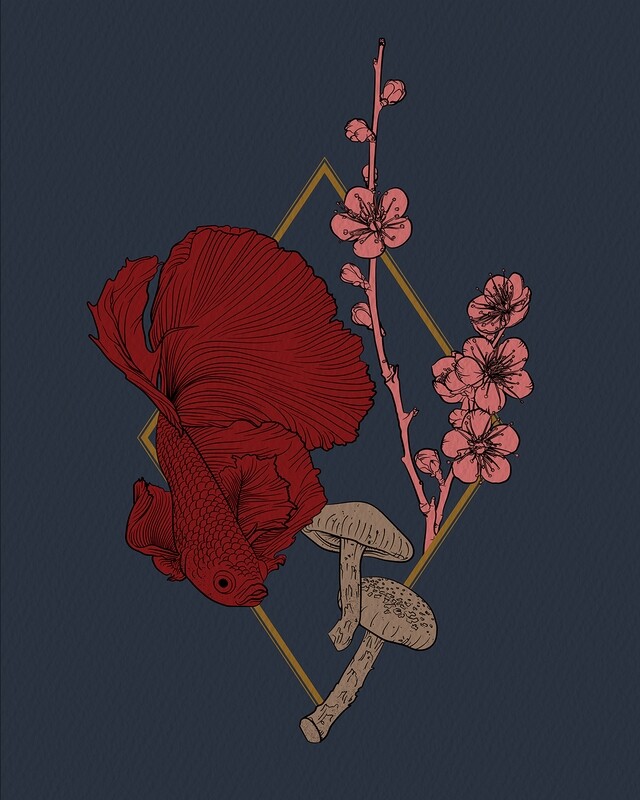 Beta Fish | Sakura | Shiitake