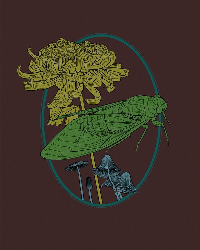 Cicada | Parasol Mushrooms | Mum