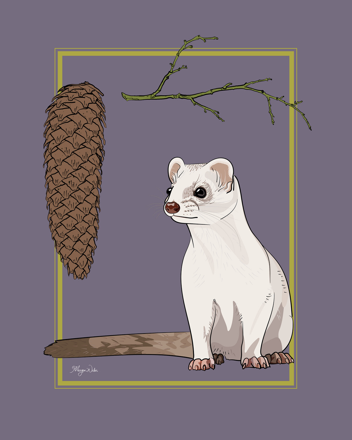 Stoat with Pine Cone