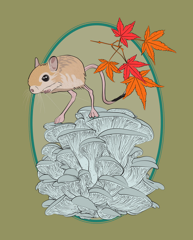 Jerboa | Oyster Mushroom | Japanese Maple