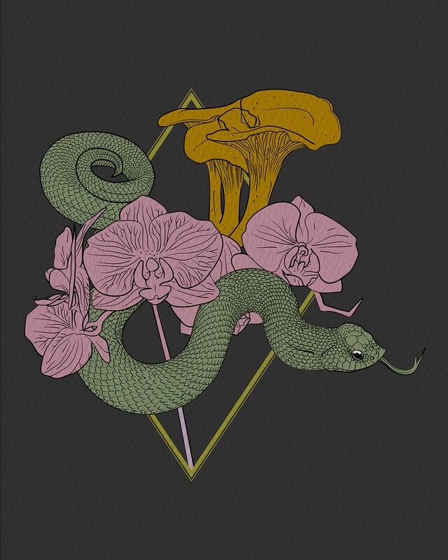 Hognose | Chanterelles | Orchids