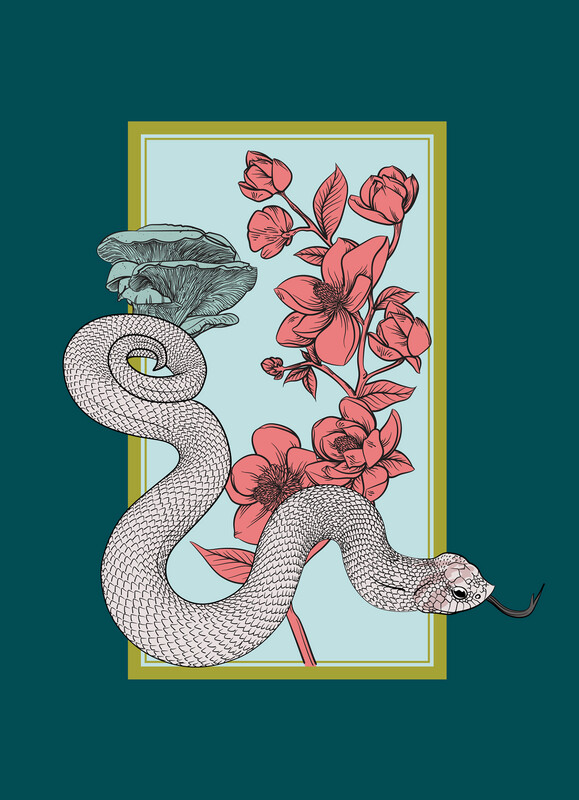 Hognose | Chanterelles | Orchids