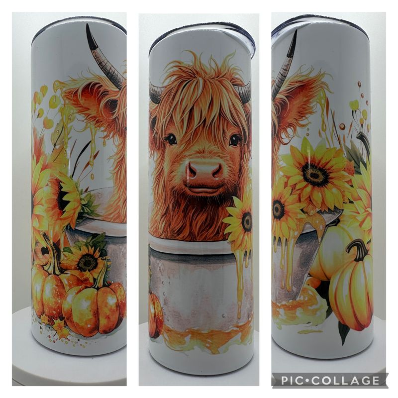 Tumbler 20oz (HILAND COW PUMPK)