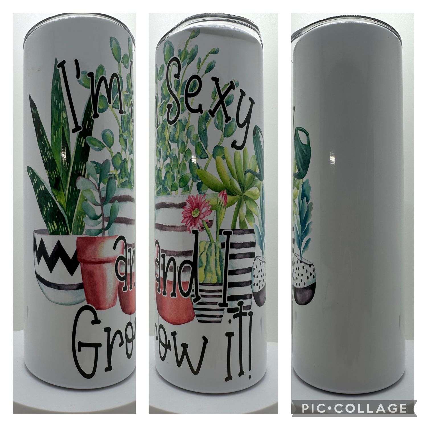 Tumbler 20oz (SUCCULENTSEXY)