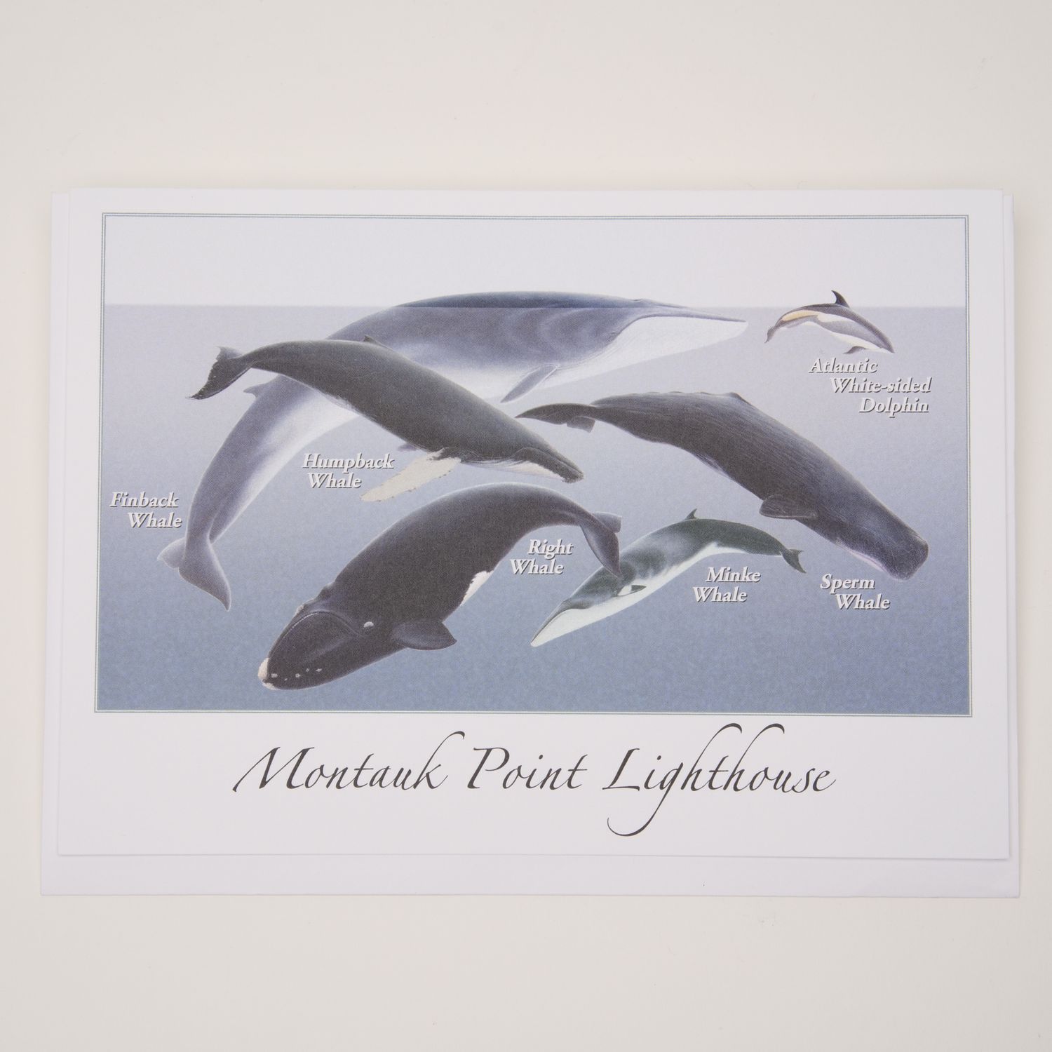 Whales Earth Sky & Water Greeting Card