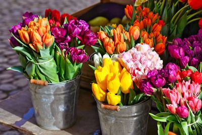 Fresh Flowers