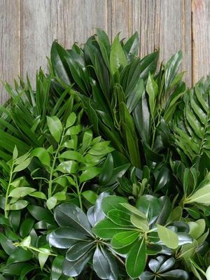 Greens &amp; Foliage