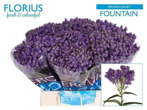 Veronica Smart Fountain 40cm