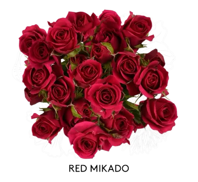 Spray Rose - Red Mikado 60cm