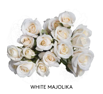 Spray Rose - White Majolika 50cm
