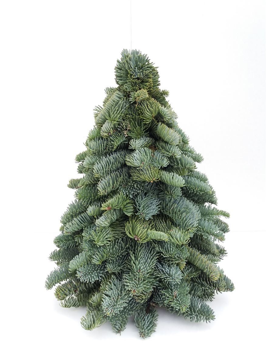 Nobilis Fir Mini Christmas Tree 30cm