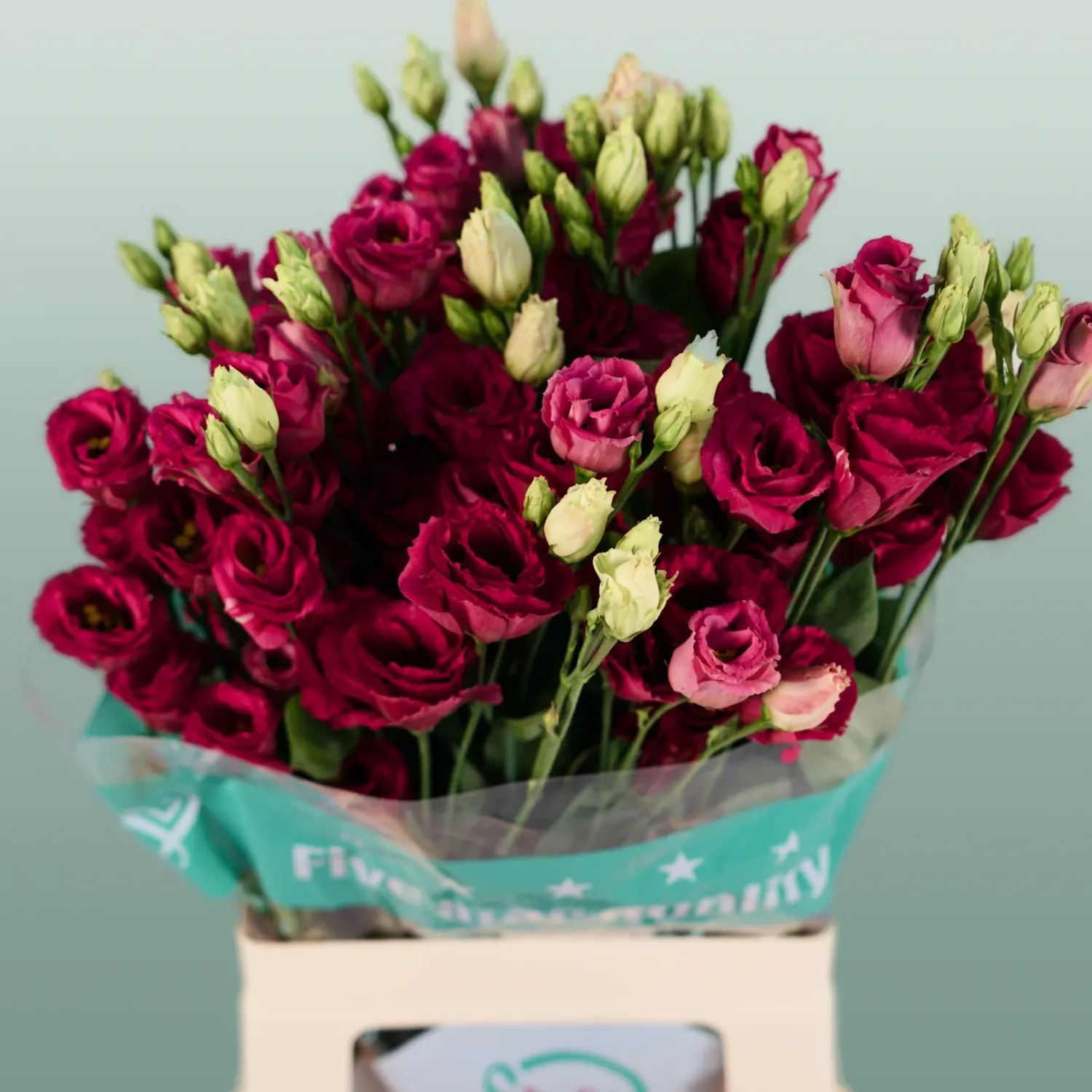 Lisianthus- Aurora Red 65cm