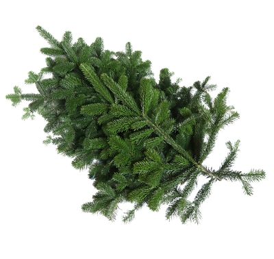 Noblis Fir Branches 5kg Bundle