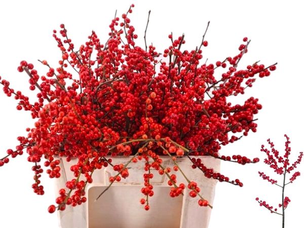 Ilex Red Berry 40cm