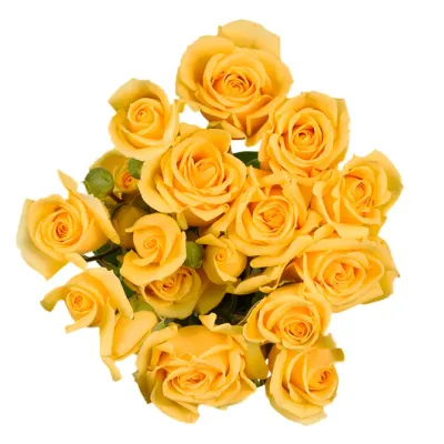 Spray Rose - Yellow 50cm