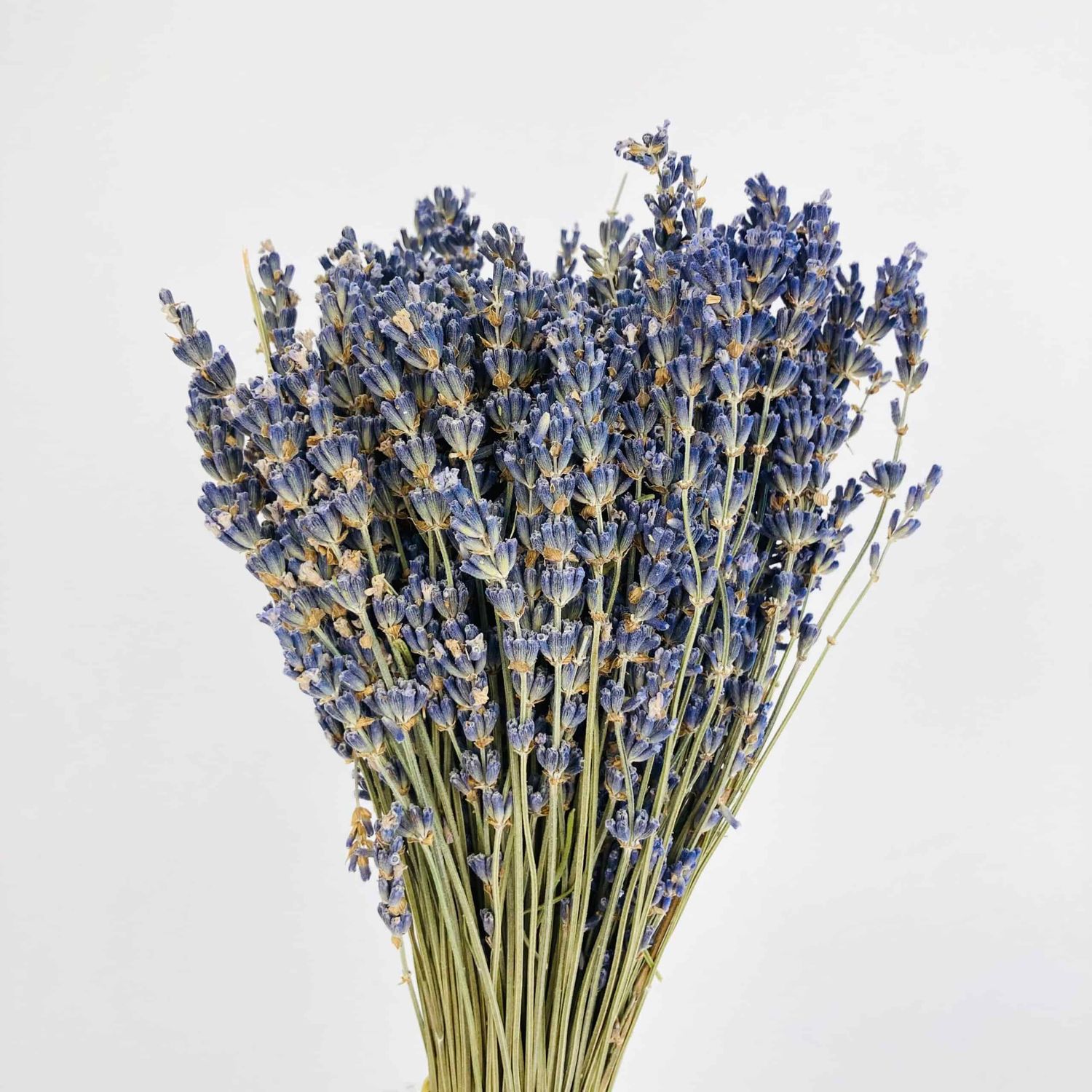 (Dried) Lavender 50cm 100g