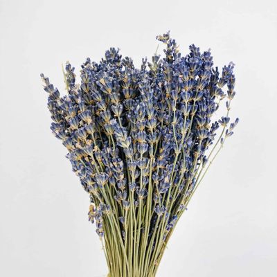 (Dried) Lavender 50cm 100g
