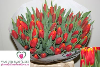 Tulips -Choice (Orange/yellow)