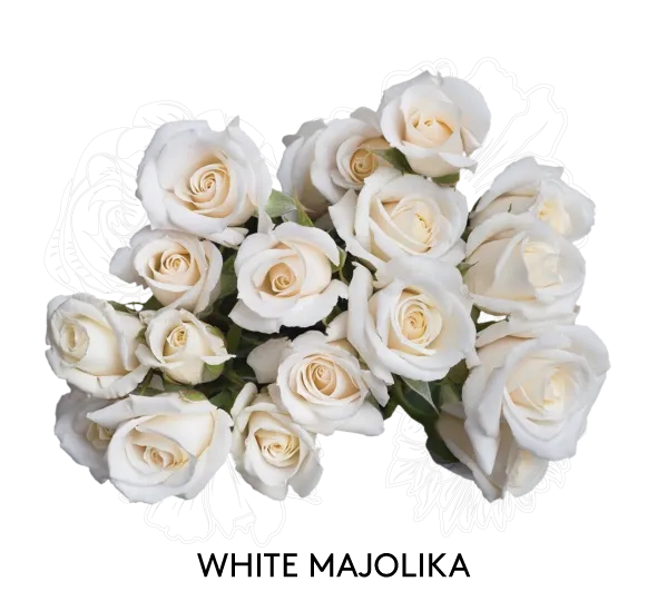 Spray Rose - White Majolika 50cm
