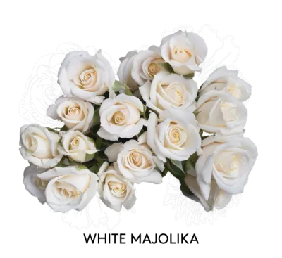 Spray Rose - White Majolika 50cm