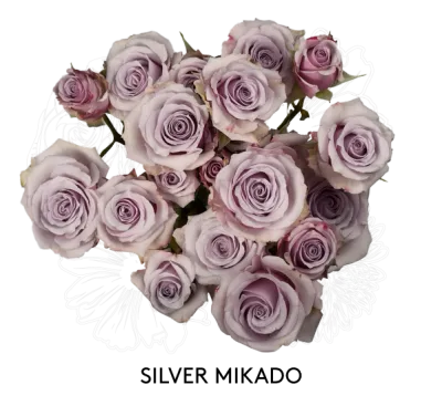 Spray Rose - Silver Mikado 50cm