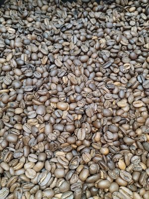 Gourmet Blend Dark Roast 250gr