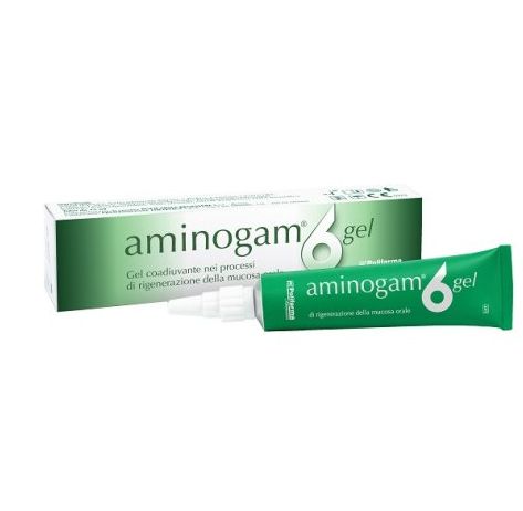 GEL ORALE AMINOGAM 6