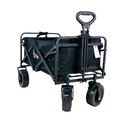 BEACH WAGON 100kg