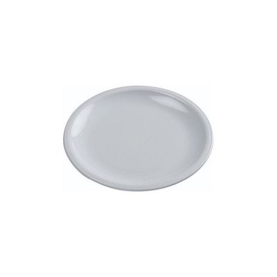 ABS Dinner Plate - 25cm