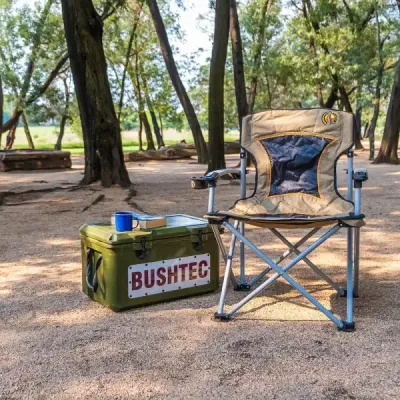 Meerkat Solid Arm Chair